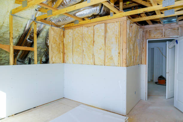 Insulation Replacement Services in Vamo, FL