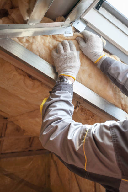 Best Affordable Insulation Services  in Vamo, FL