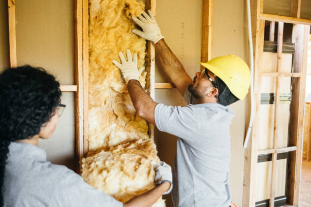 Best Attic Insulation Installation  in Vamo, FL