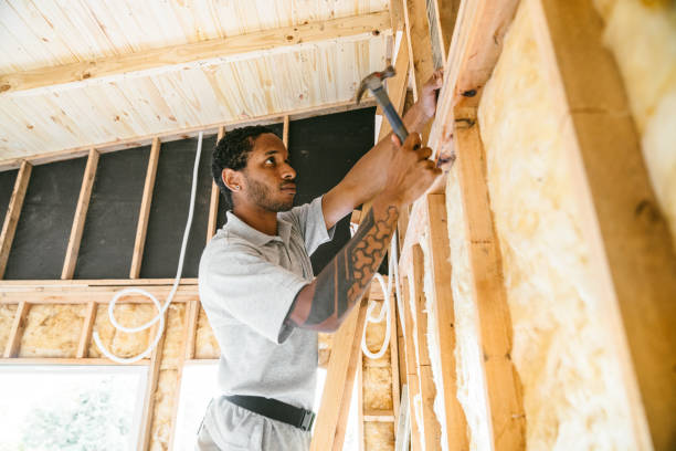 Best Insulation Repair Services  in Vamo, FL