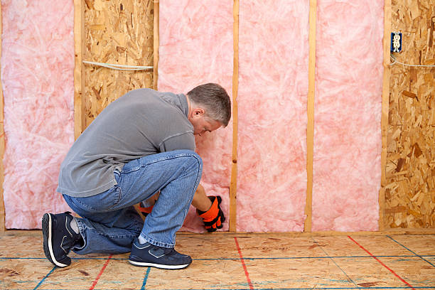 Best Insulation for New Construction  in Vamo, FL