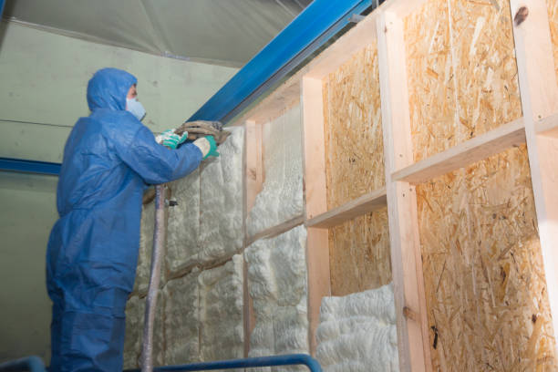 Insulation for Commercial Buildings in Vamo, FL